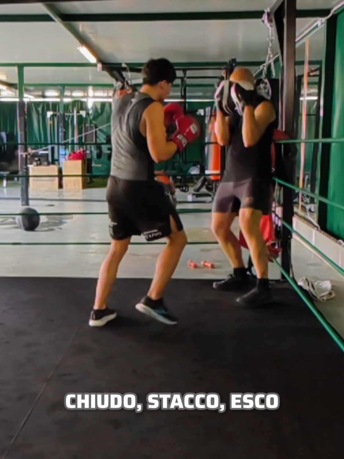 @UrsuDenisBoxeAcademy