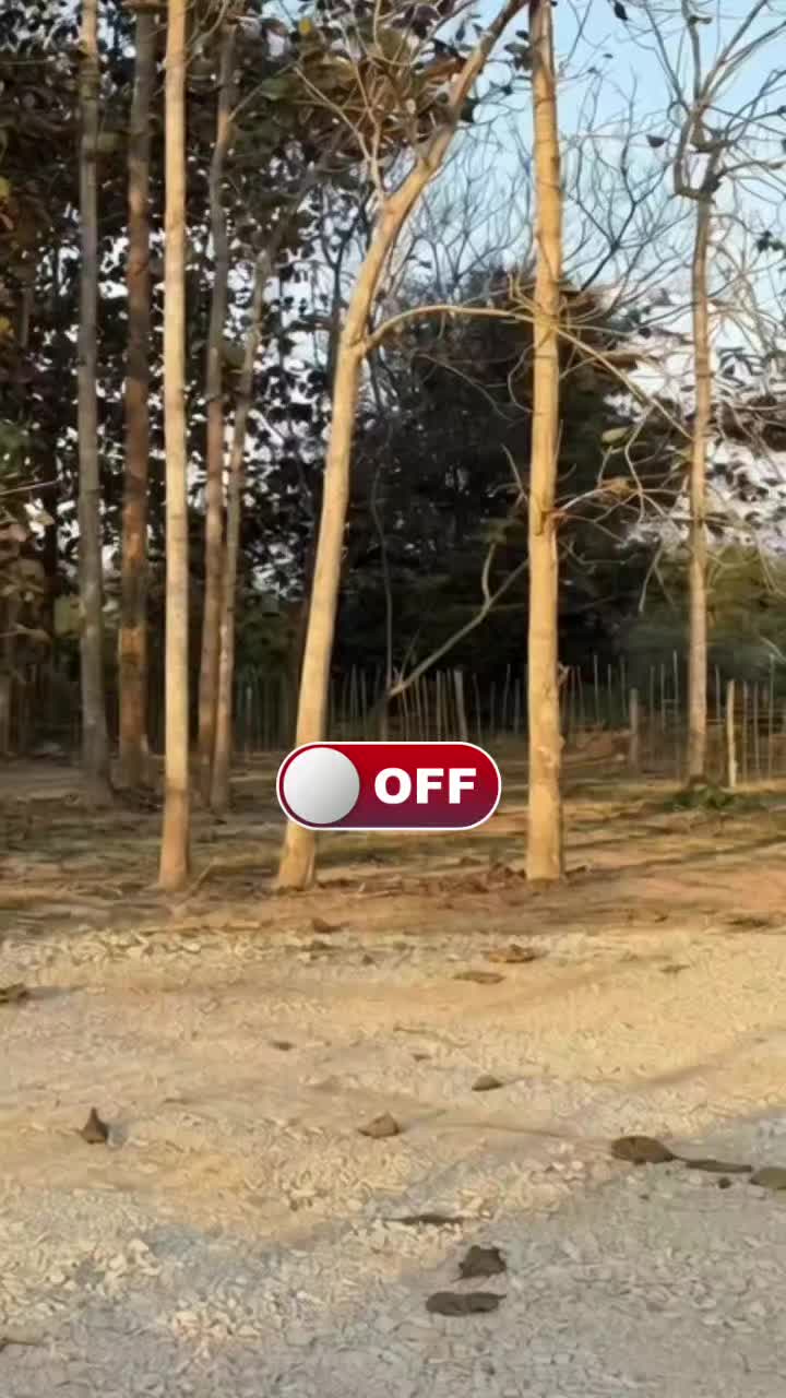 @Mohammad Hasan