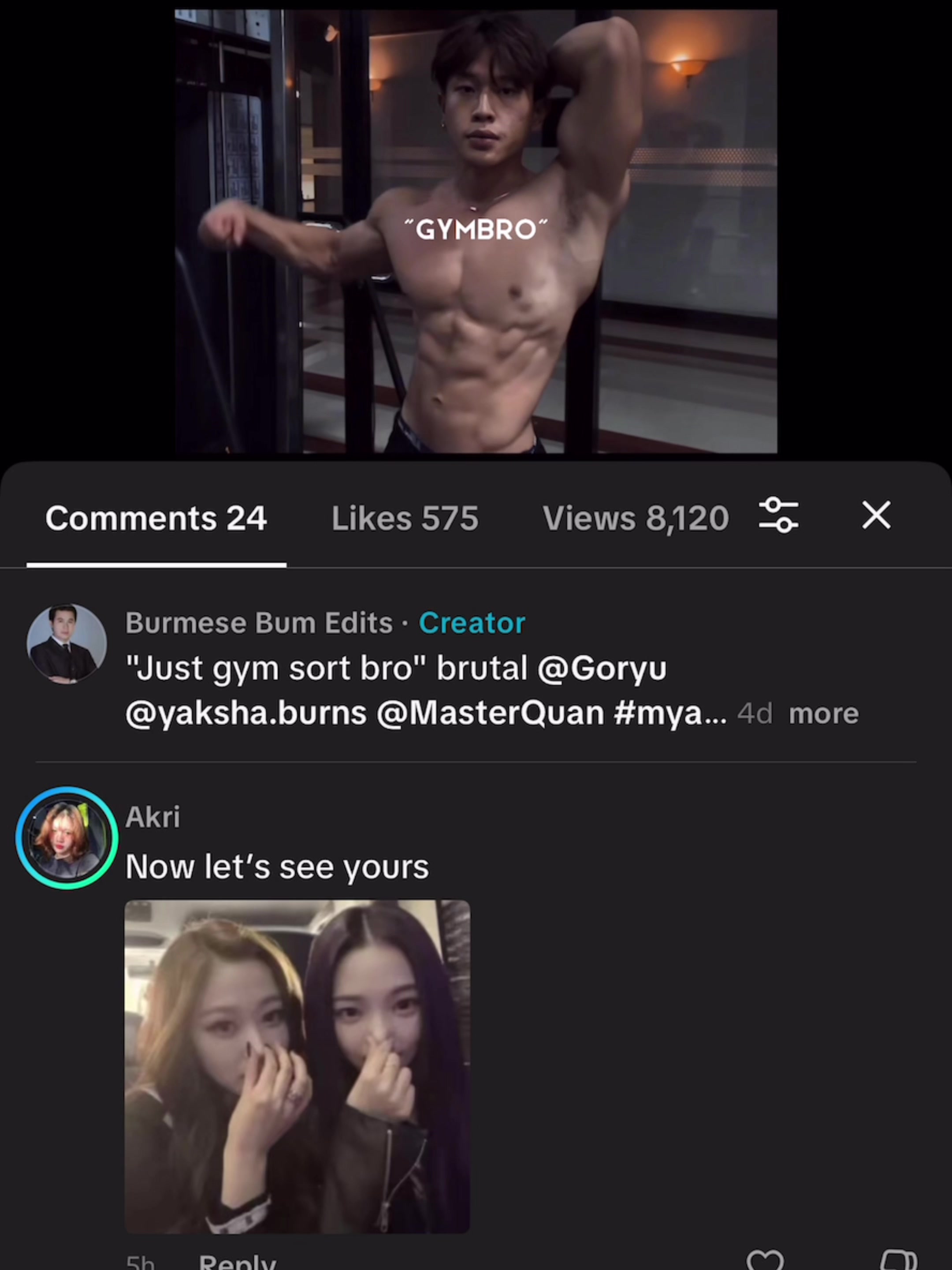 @Burmese Bum Edits