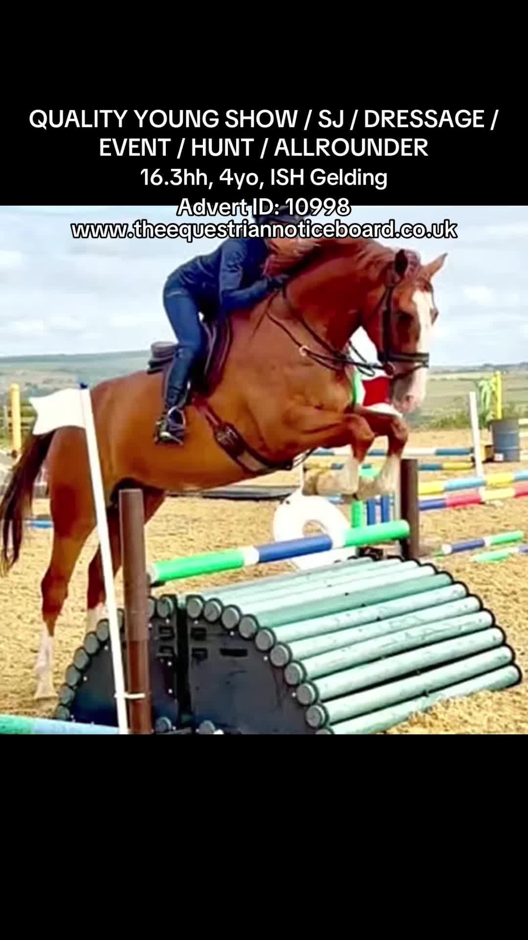 @theequestriannoticeboard