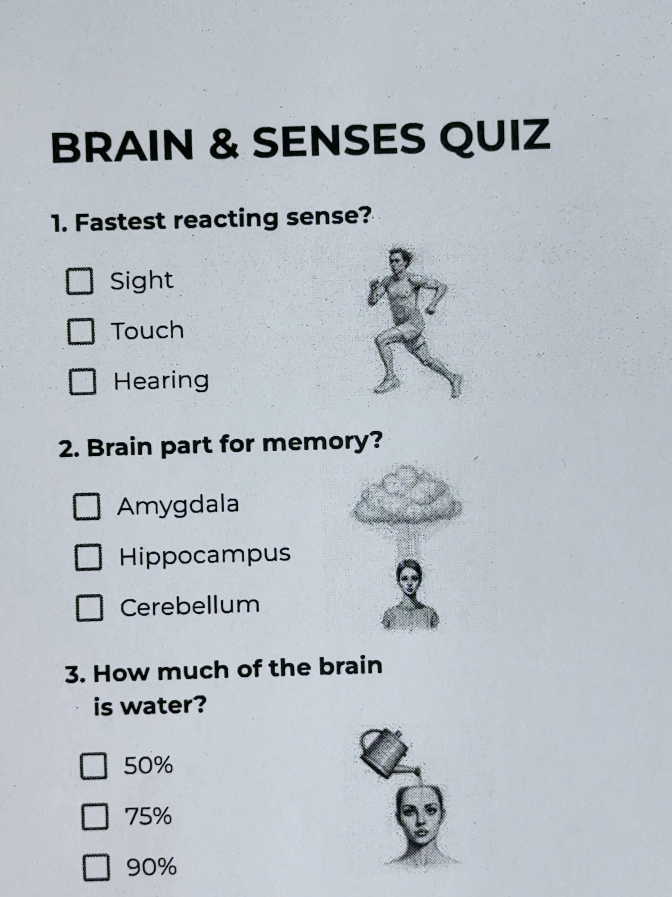 @Quizensky&rsquo;s Brain Gym