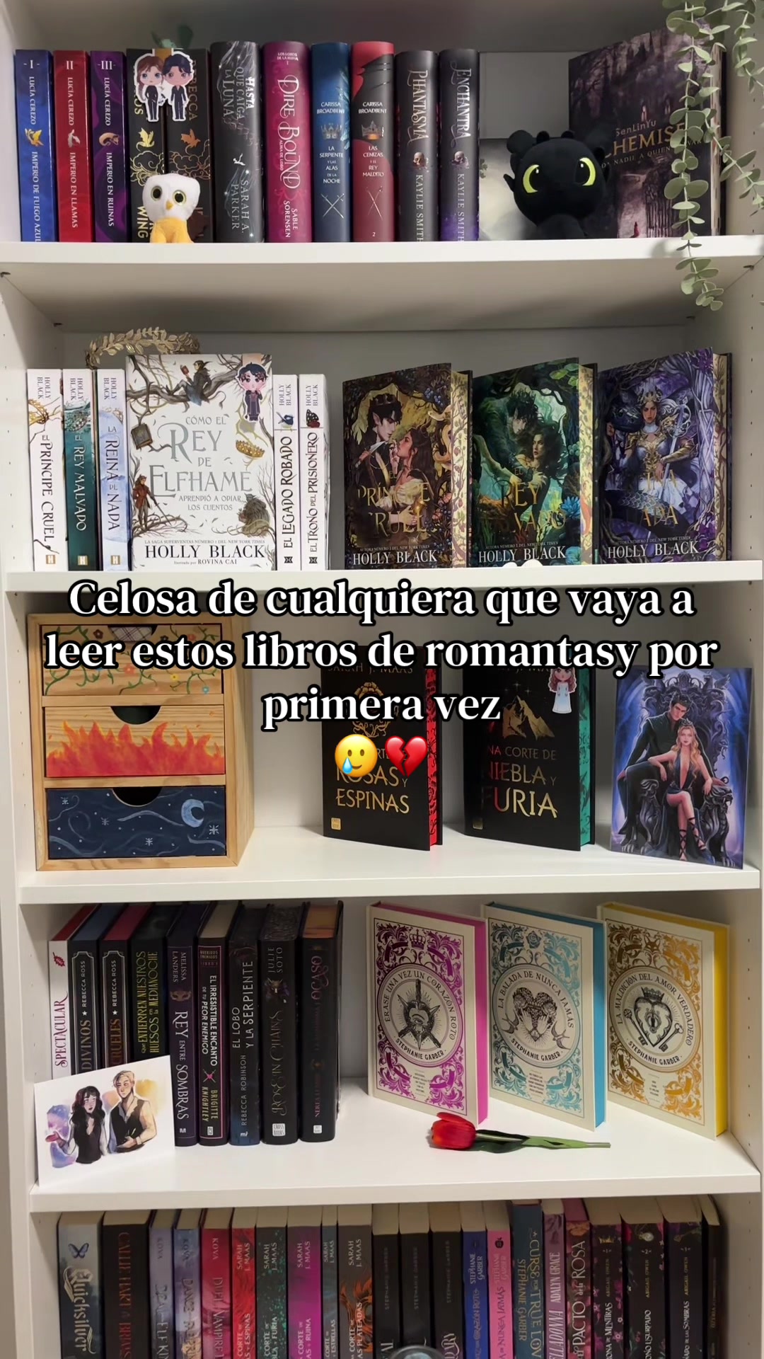 @Thedarkmoonbooks🌙✨