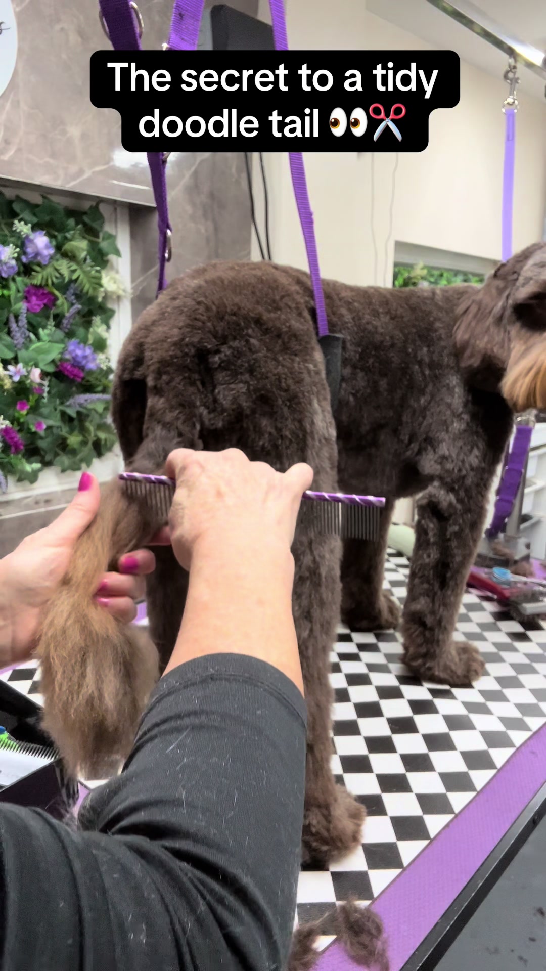 @Poochiepoosdoggrooming