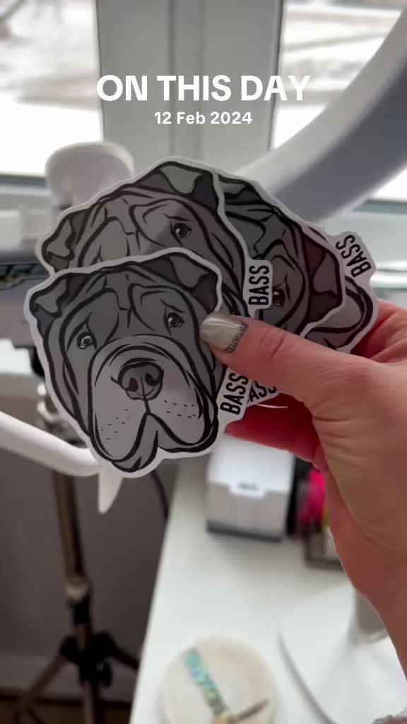 @Digi Doggo