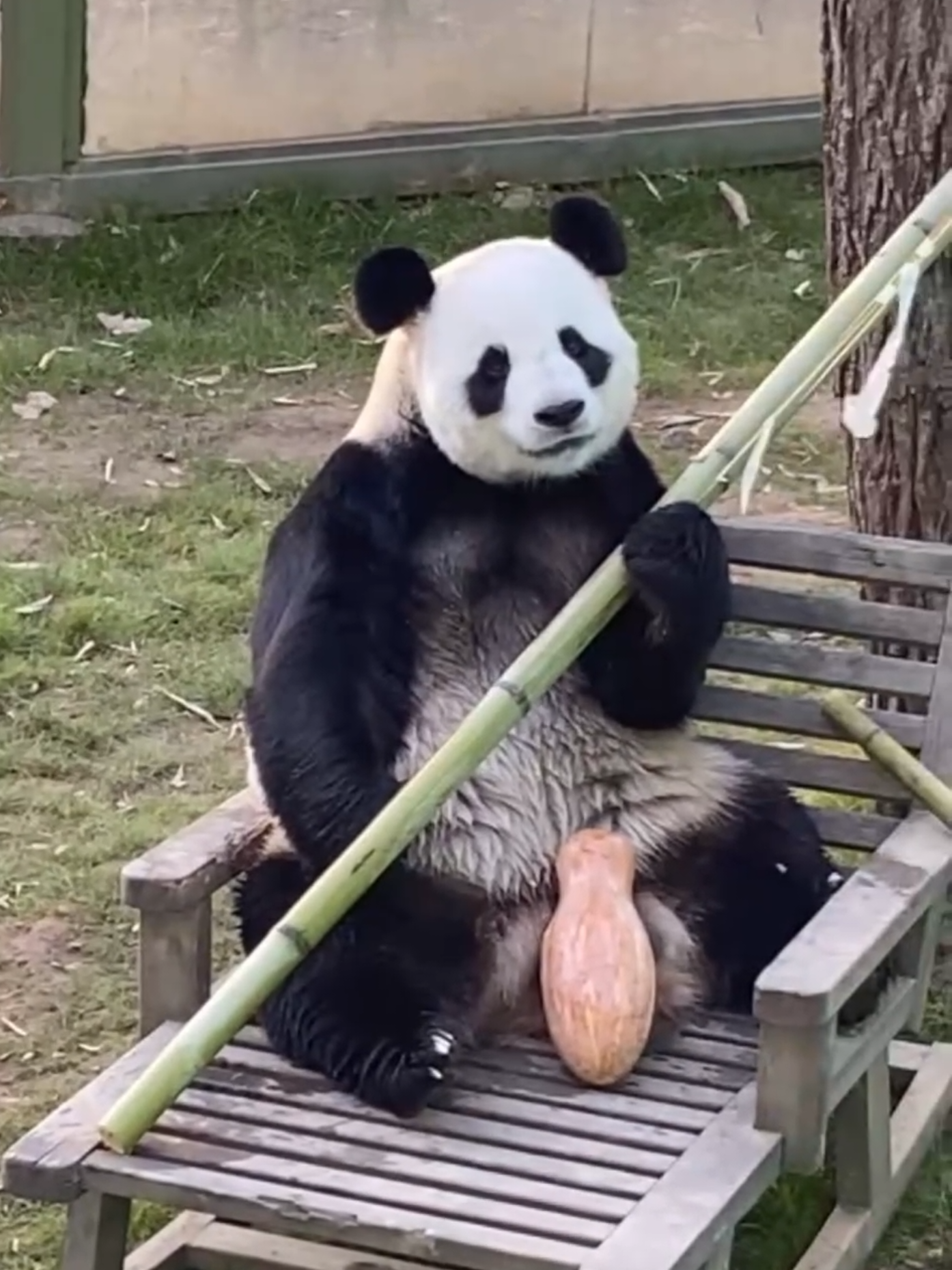 @PandaHut