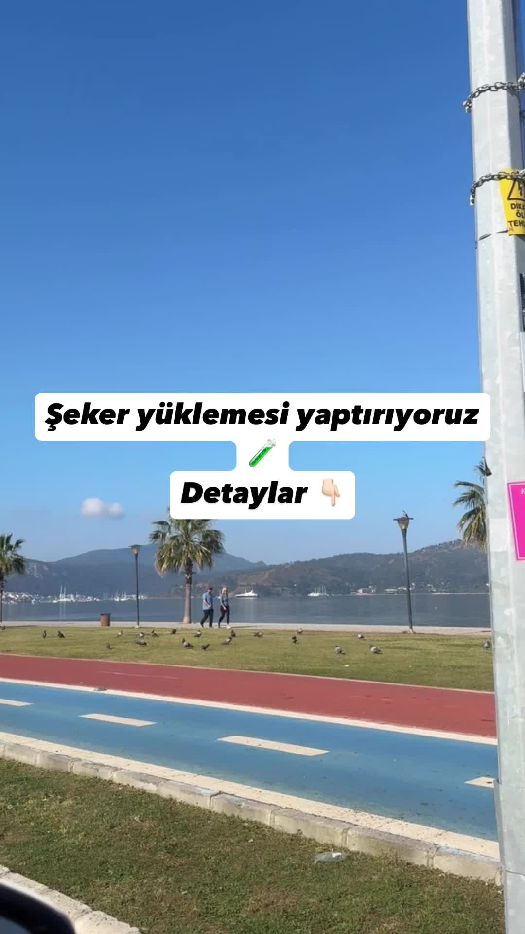 @birannebircansel