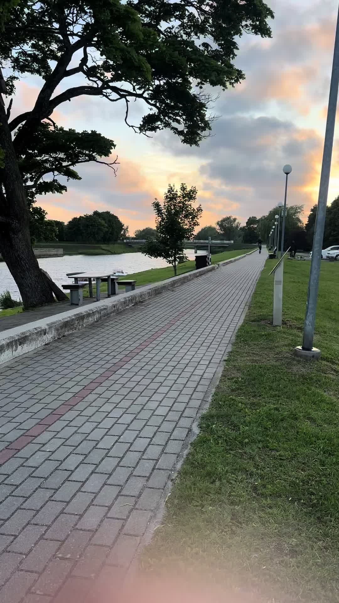 @korvinis