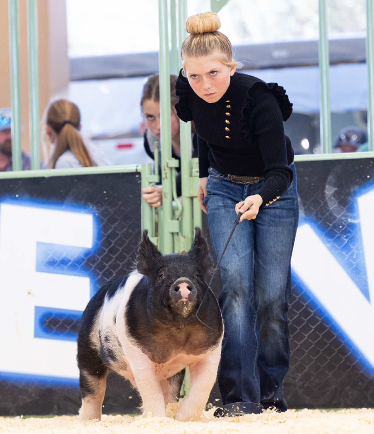 @Dadson Farms Show Pigs