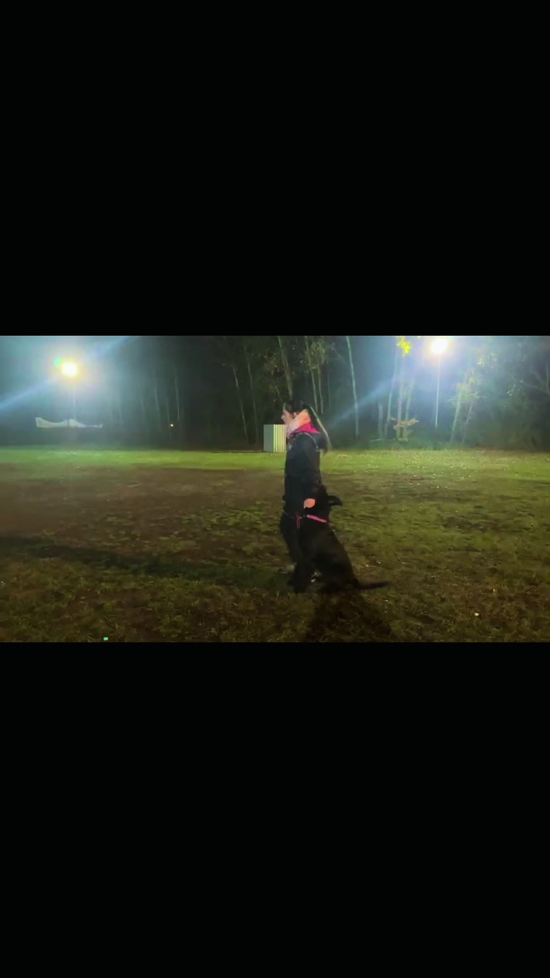 @Jasi&Tobi Dogsport