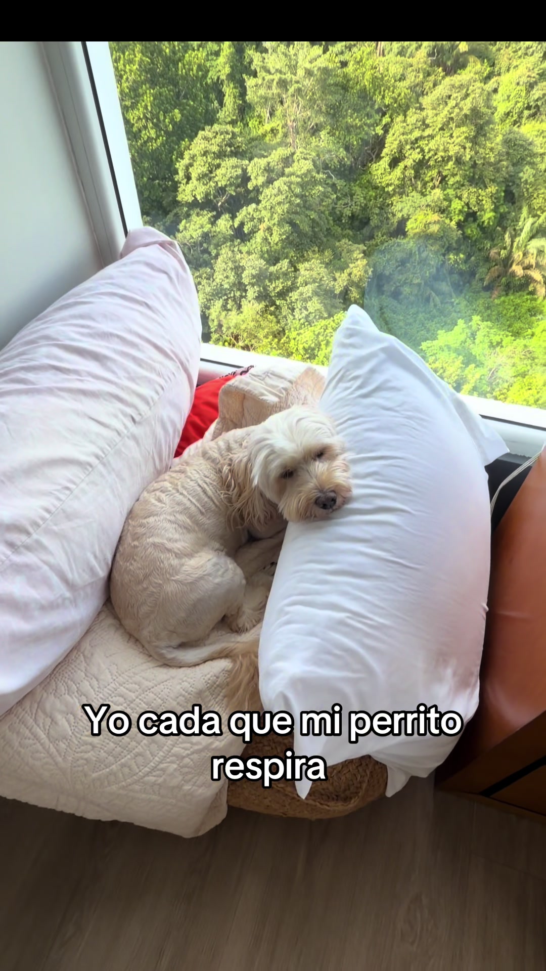 @Beyli