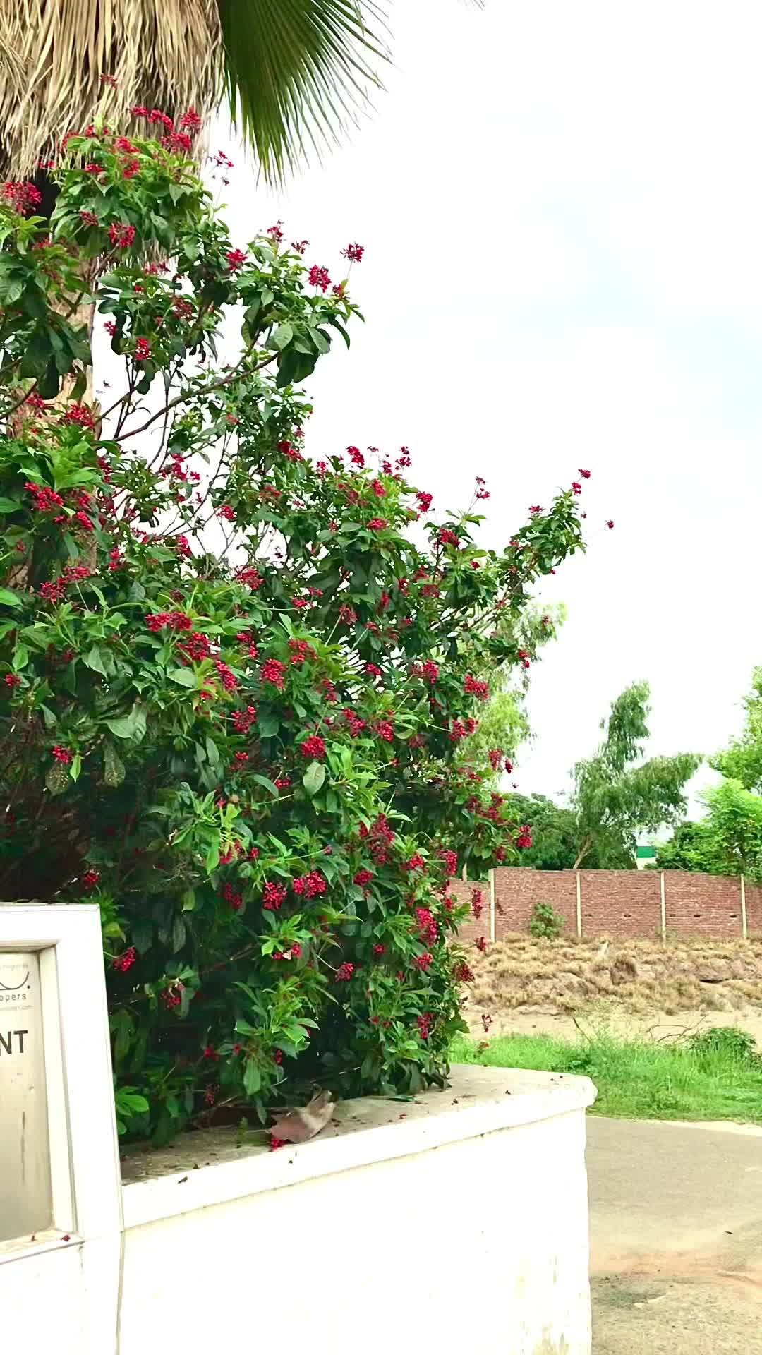 @Ranaabdulwaqas