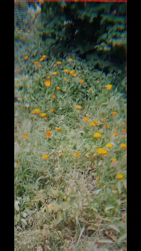 @urban_nature
