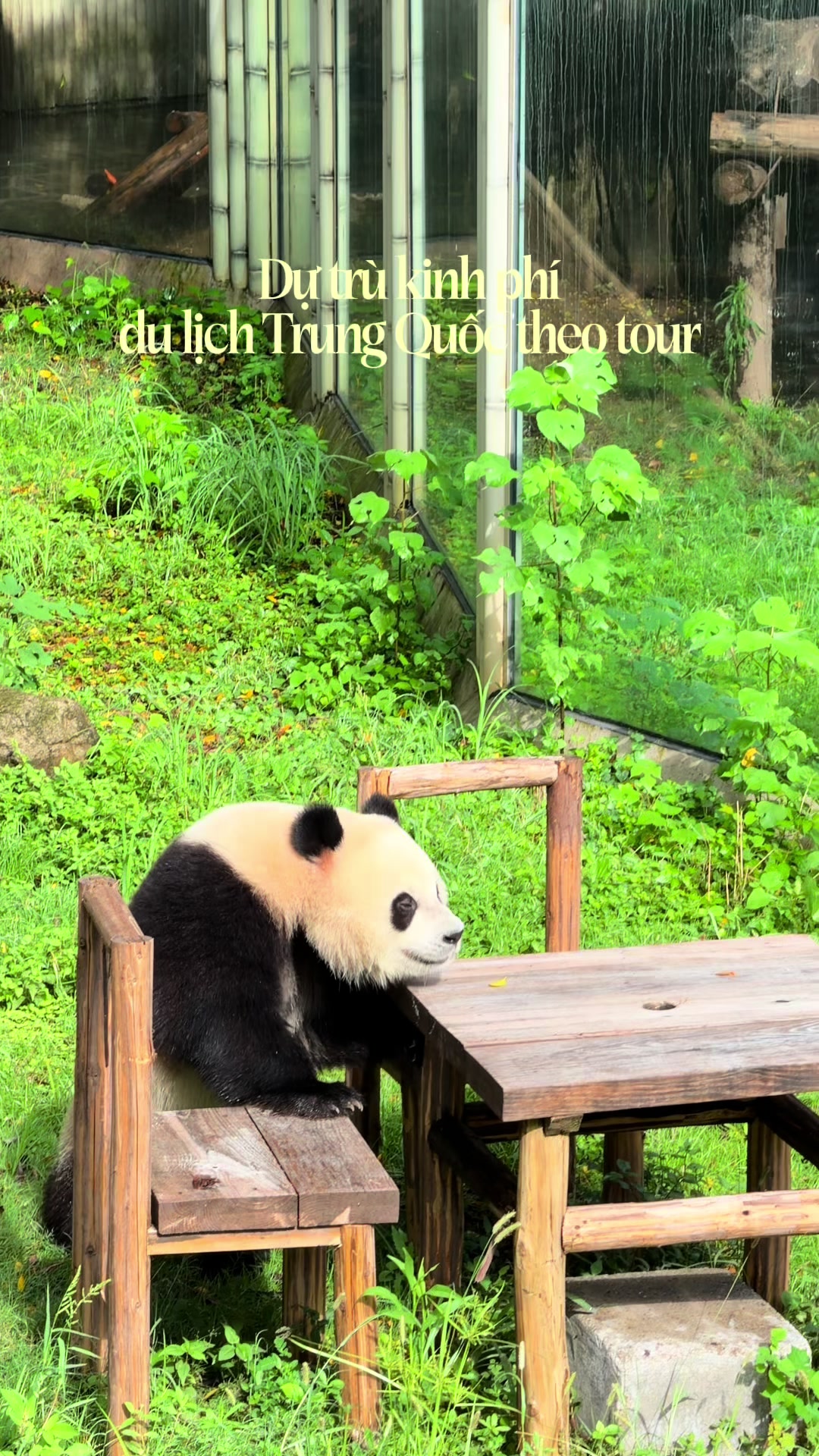 @Bùi Ngọc Tuyết