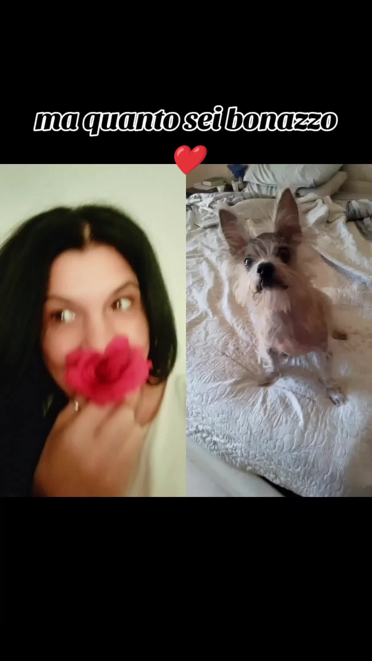 @♥️ POLLY ♥️