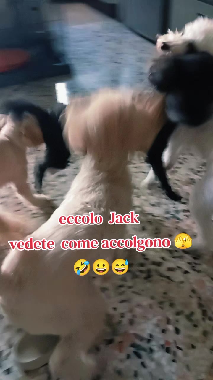 @Julie in Italy