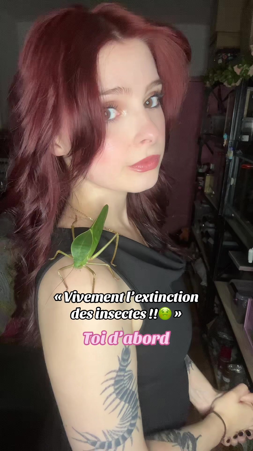@Am🪲🎀