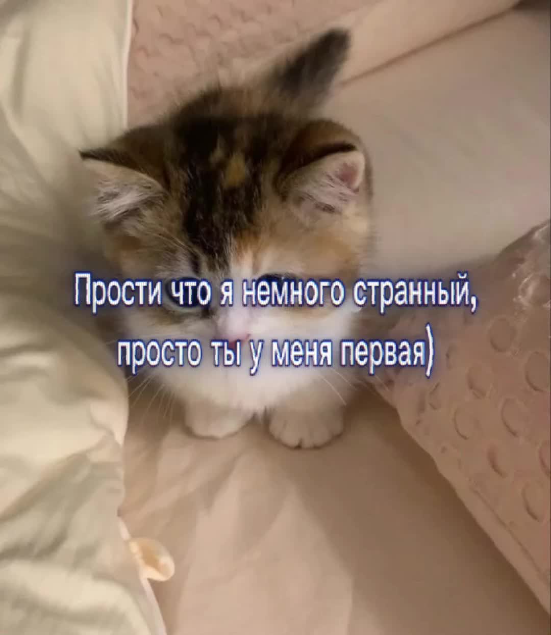@Я люблю Машулю