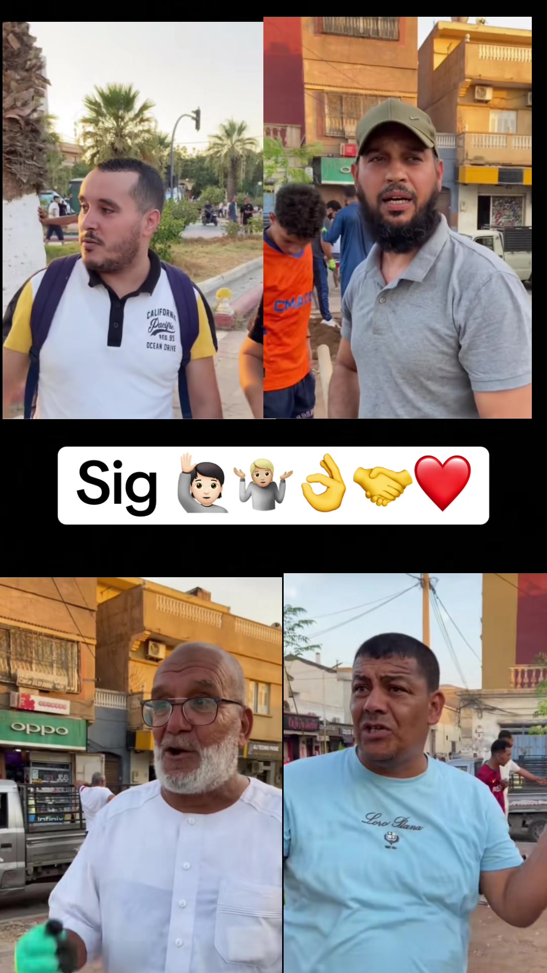 @sig29bebe