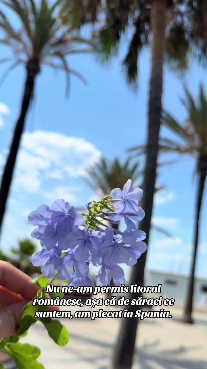 @Georgiana Petrea