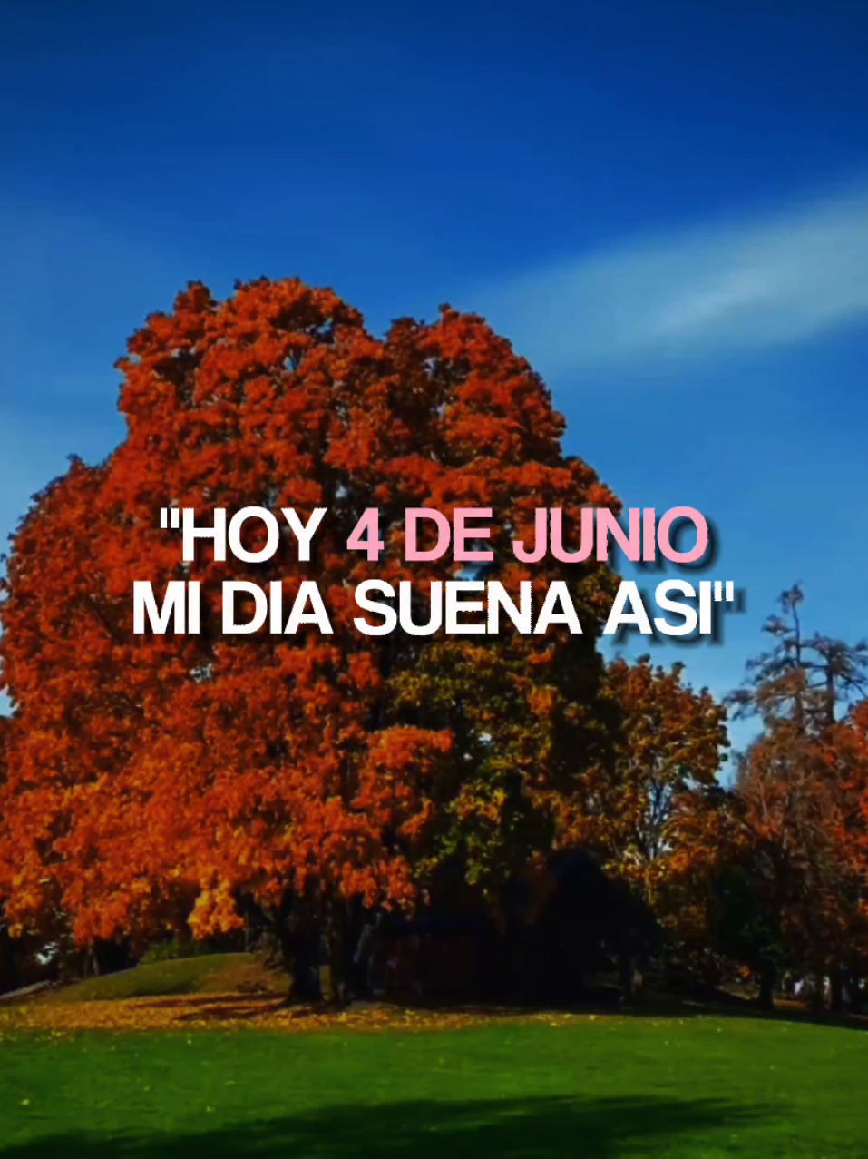 @M&uacute;sica Sin Barreras