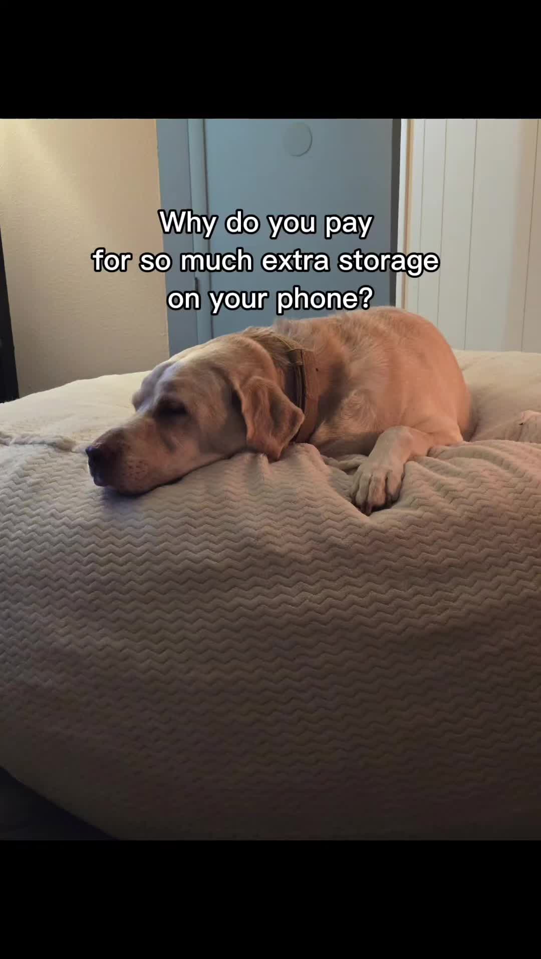 @Erika Lynn Sabrowski