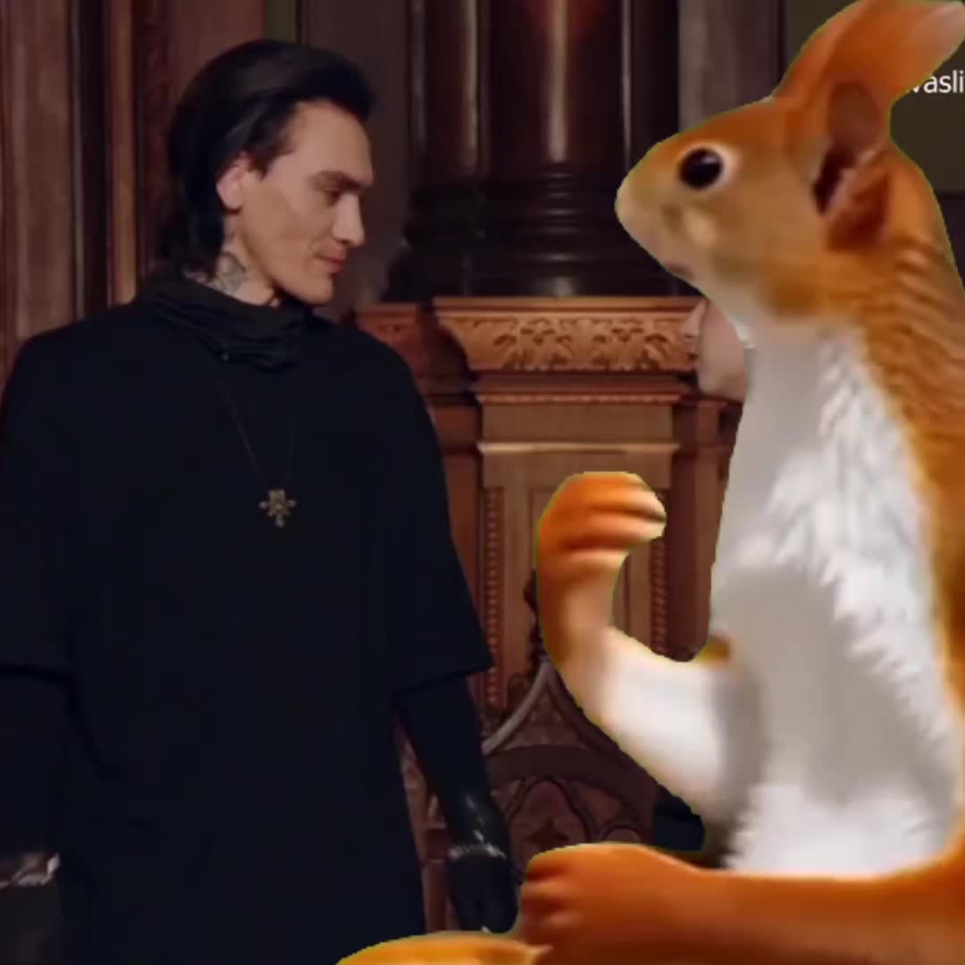 @ⲗяⲱⲁ🐈⬛