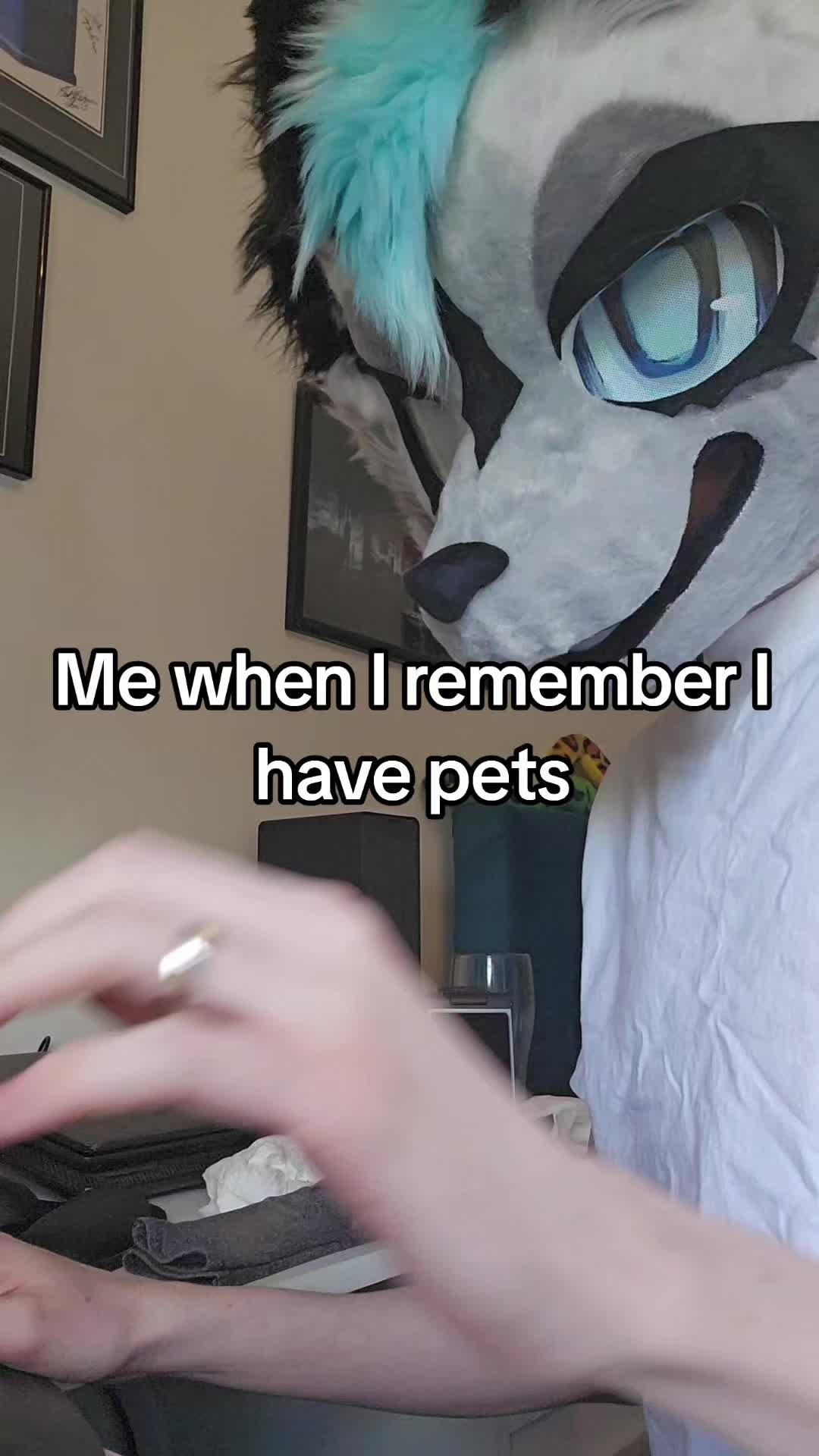 @Maishu Foxx