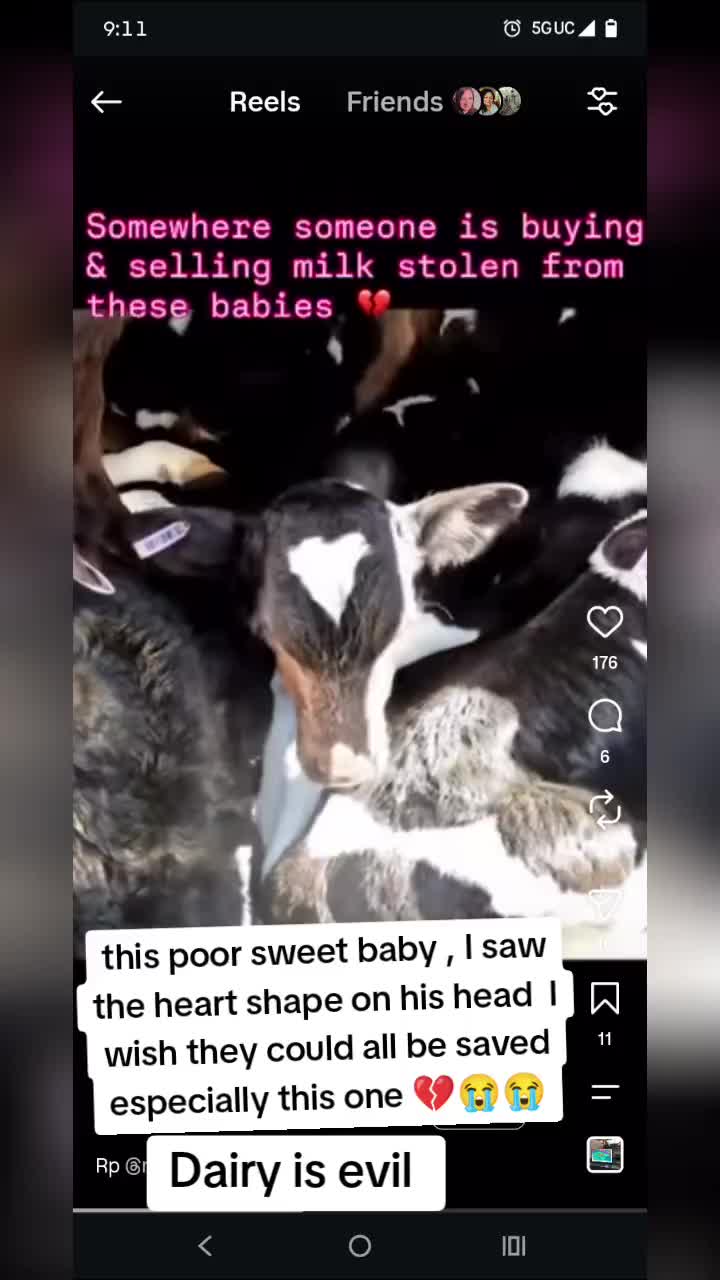@M🧿m and spirit /foster mom