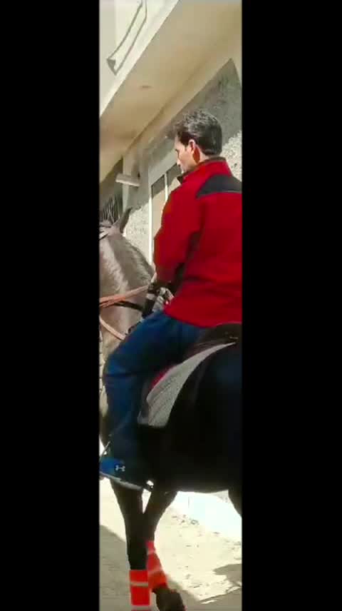 @★ 𝗧𝗔𝗥𝗜𝗤 𝗔𝗭𝗜𝗭 ★