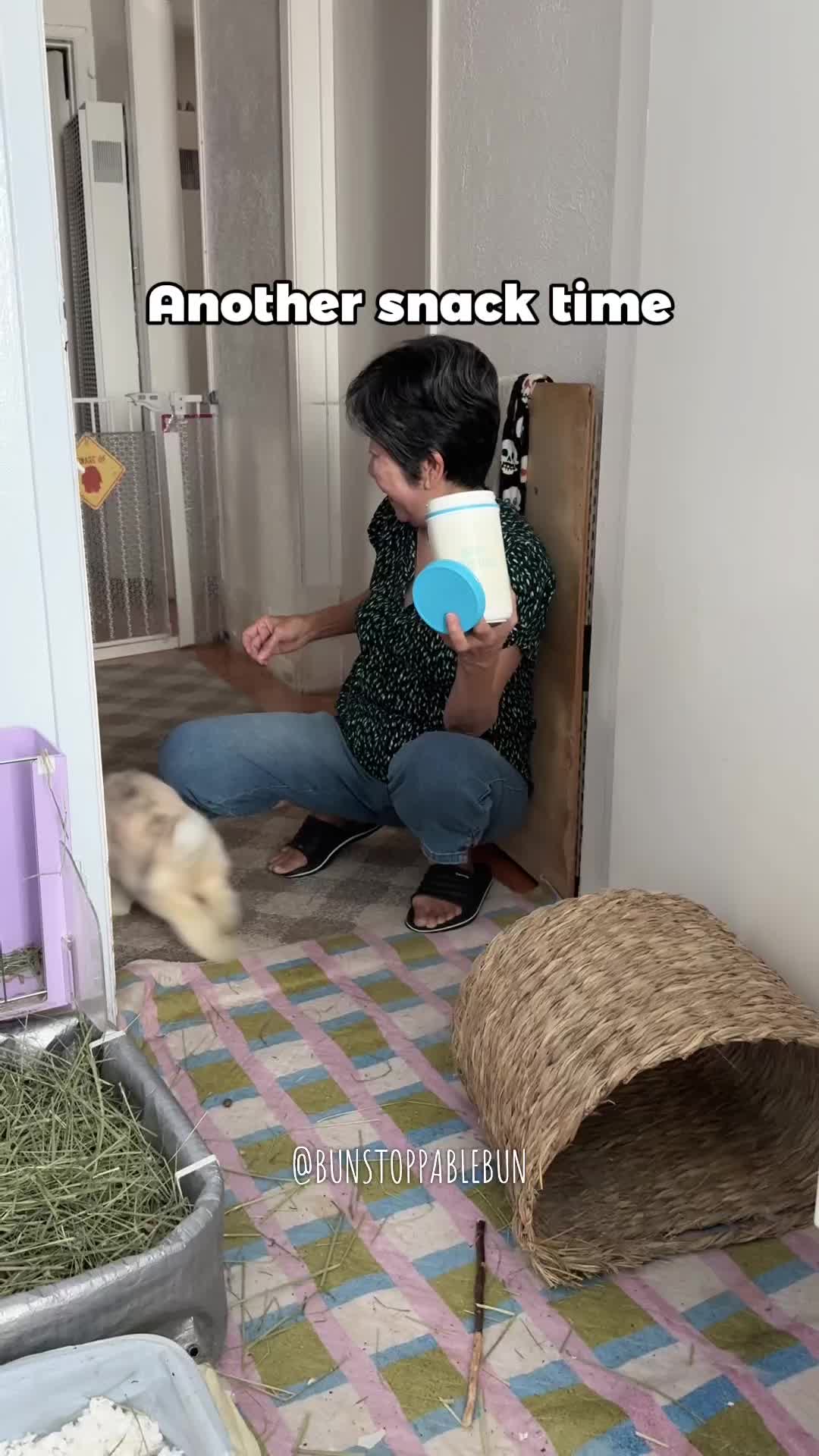 @BunBun, Mochi🌈, Chewy
