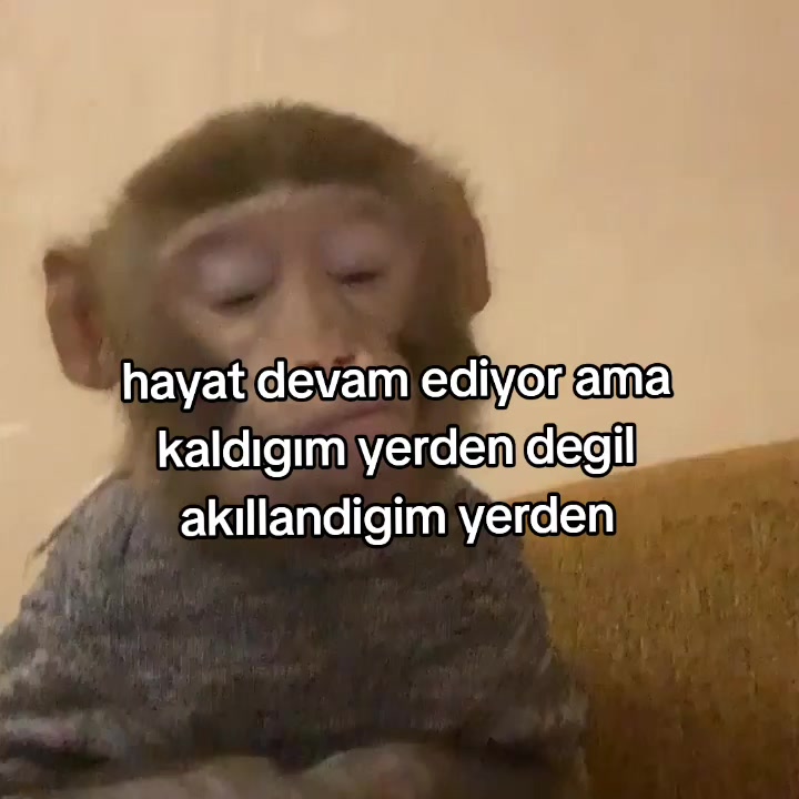 @rolland