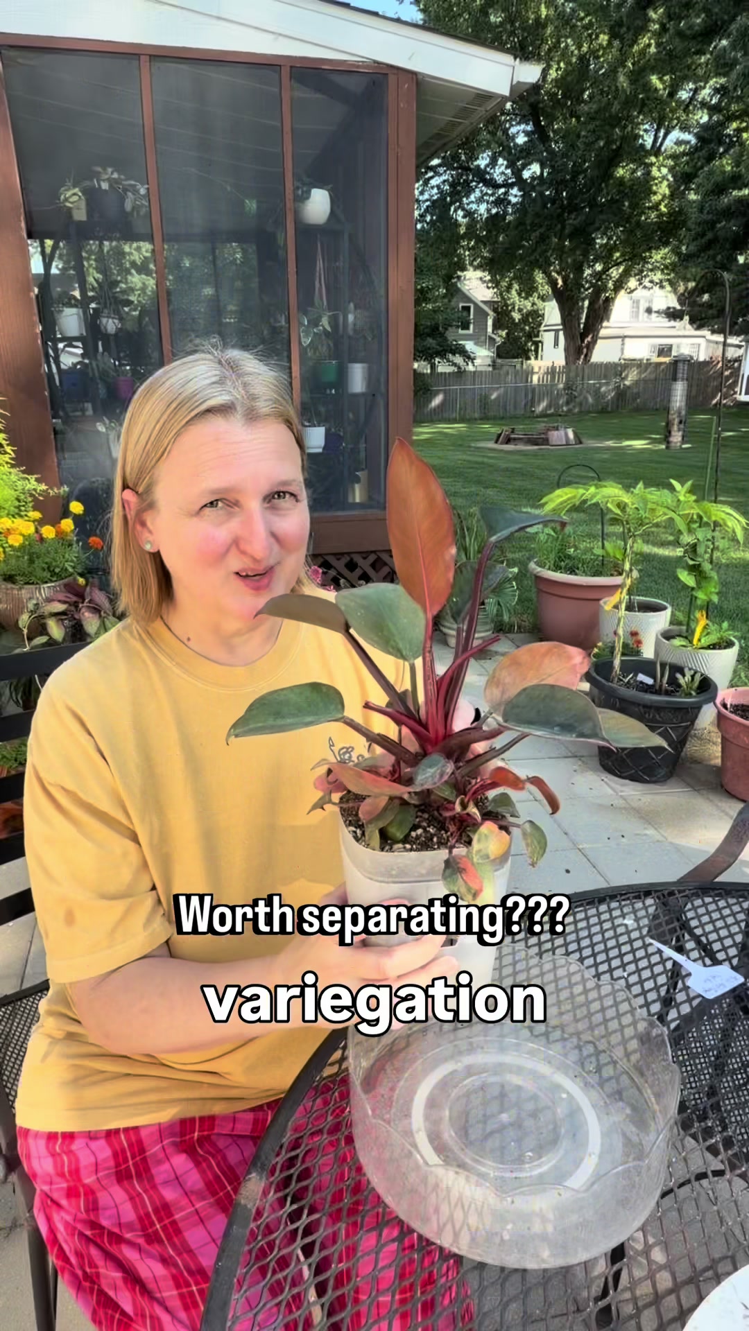 @Pothosiblyaboutplants