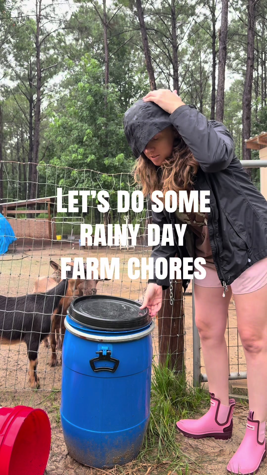 @chenierpinesfarm