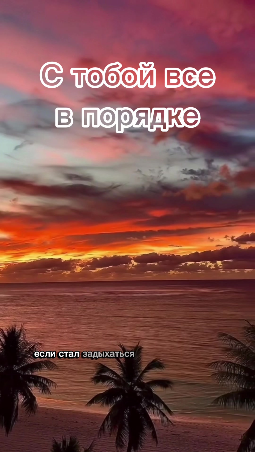 @Wild Real
