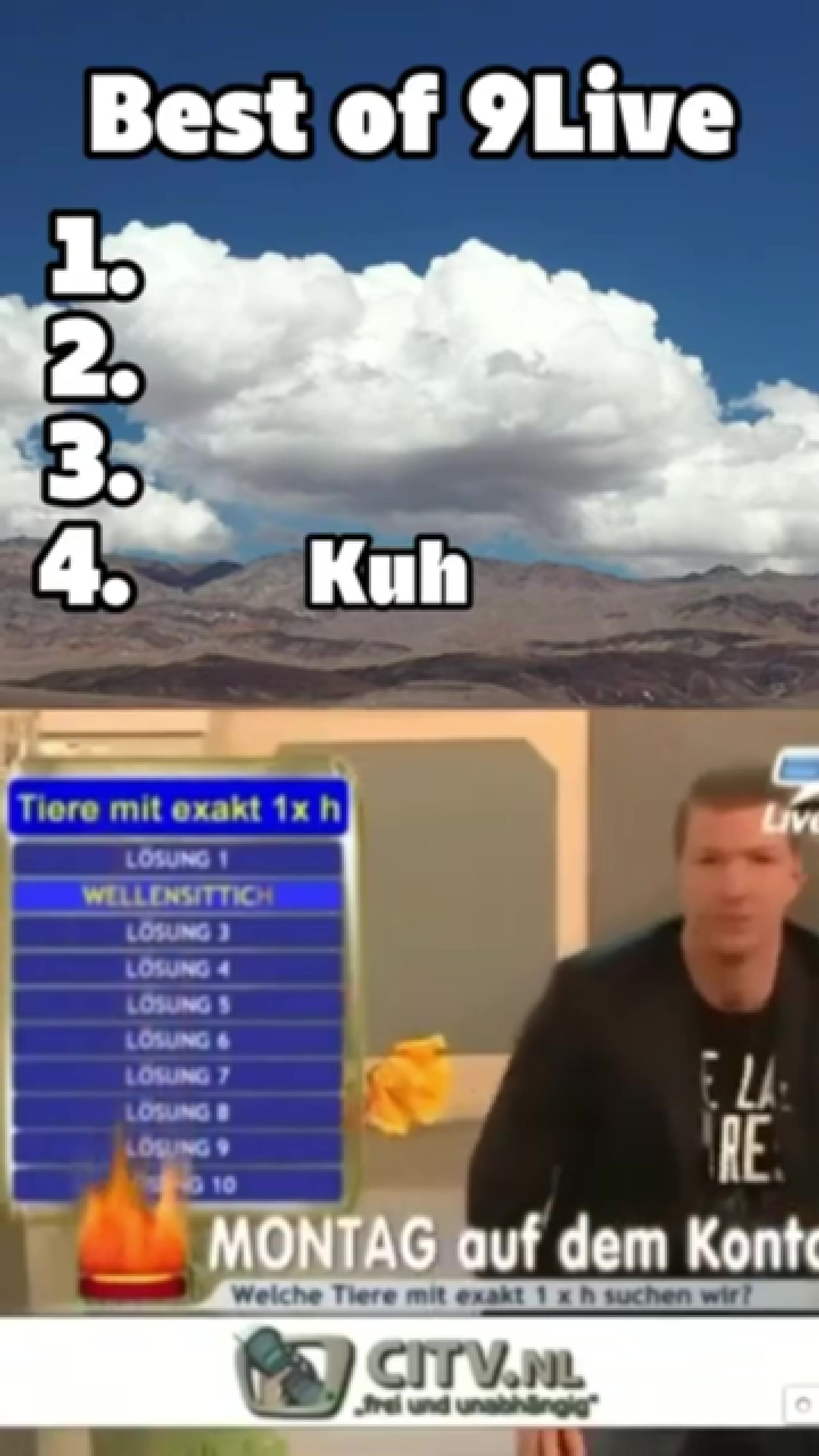 @DeutscheMemeHood