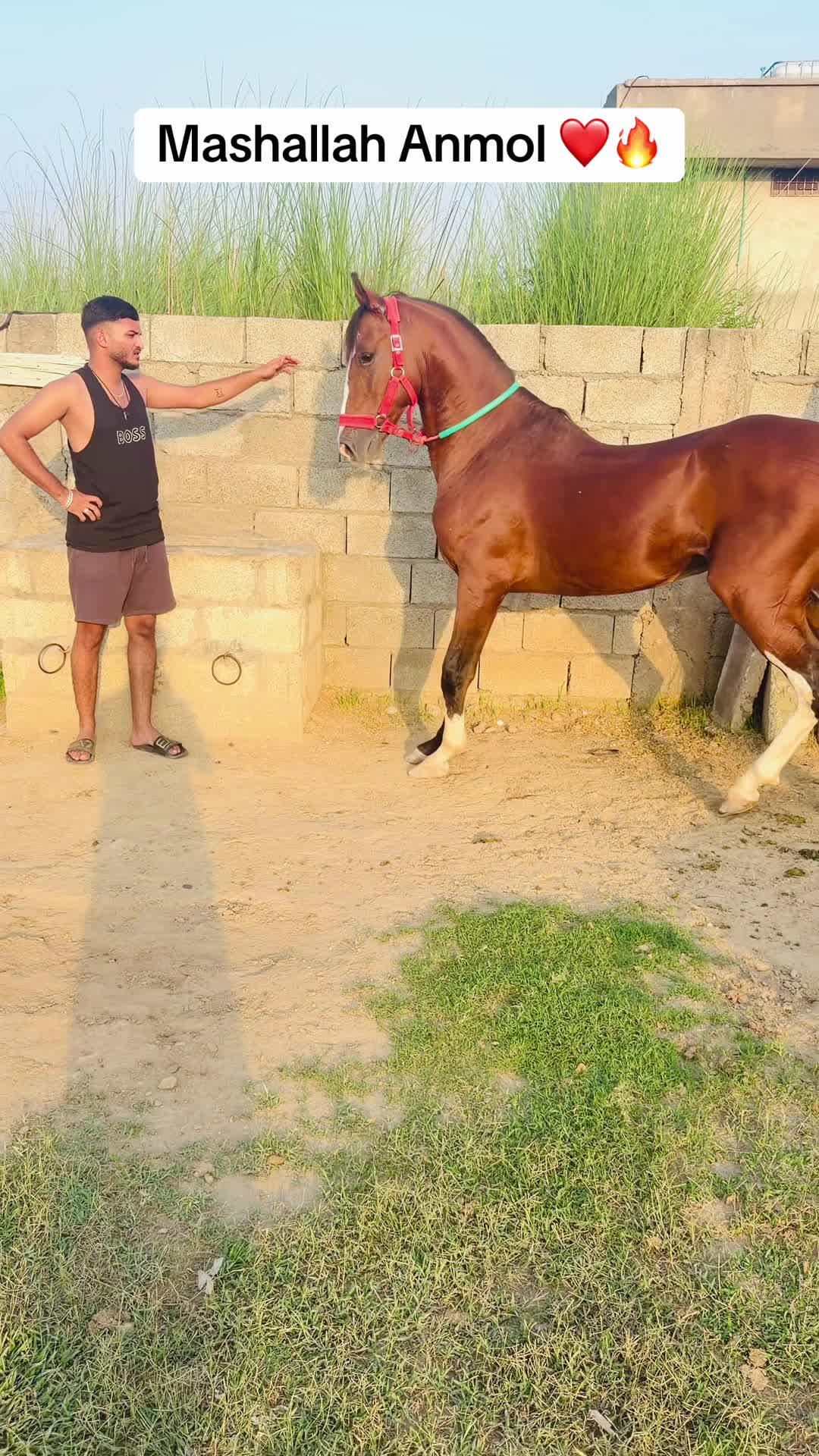 @𝗗𝟰𝗪𝗜𝗜