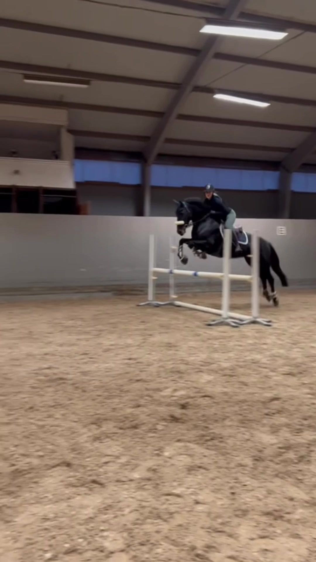 @Emelie och Lady đ