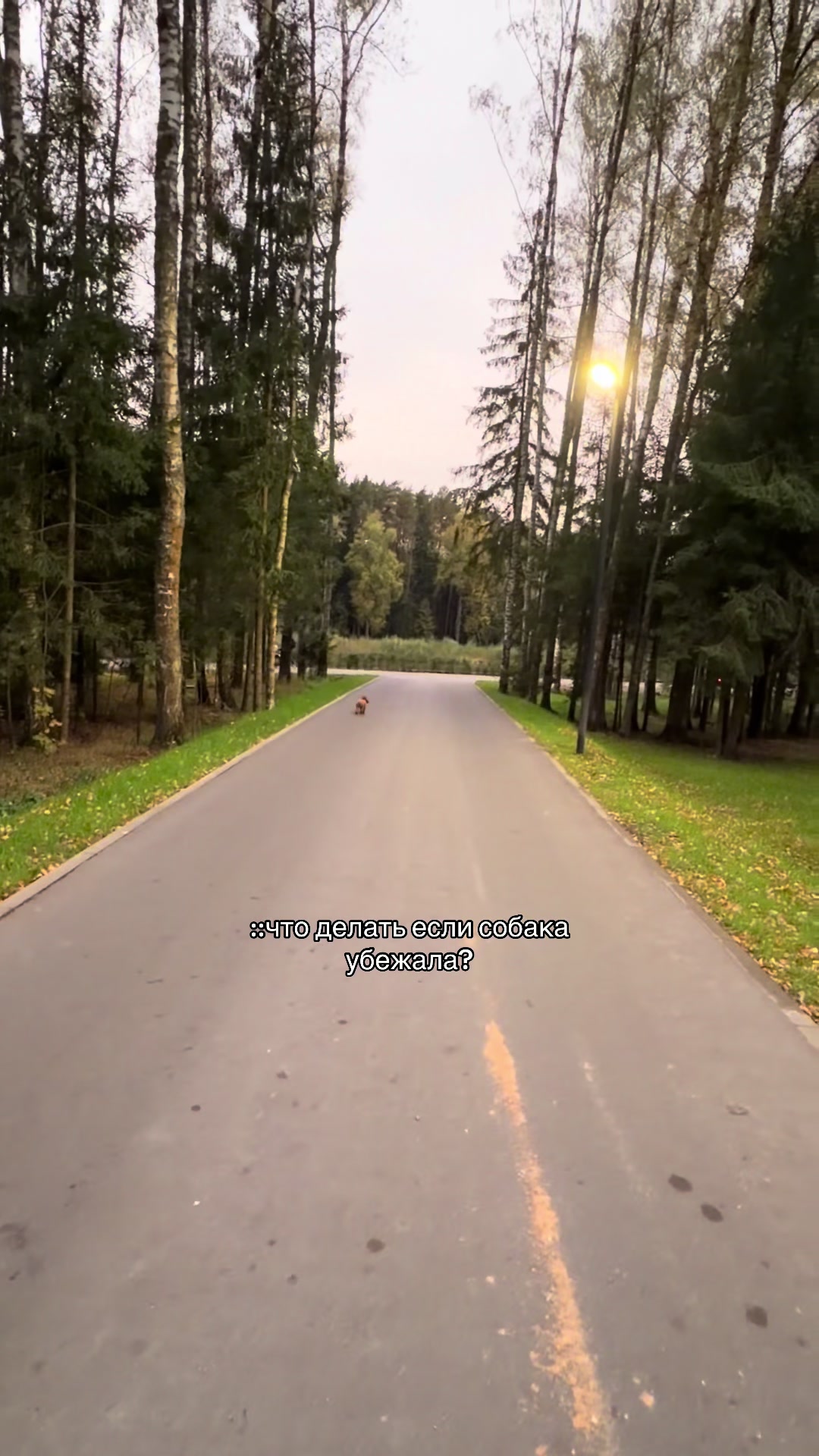 @Джульетта,но без Ромео