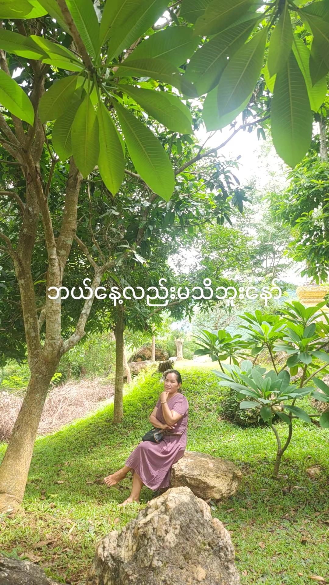 @ပန္း ခေရ