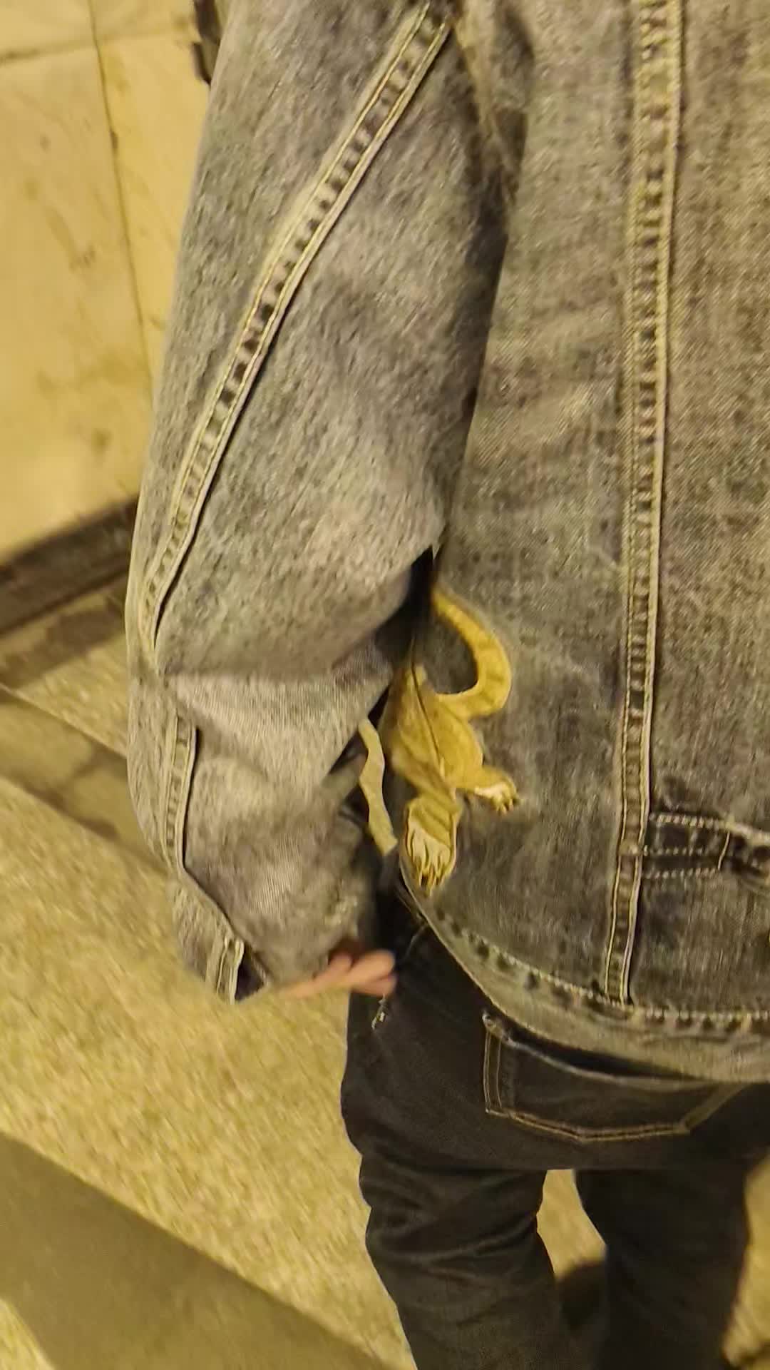 @proklutyj