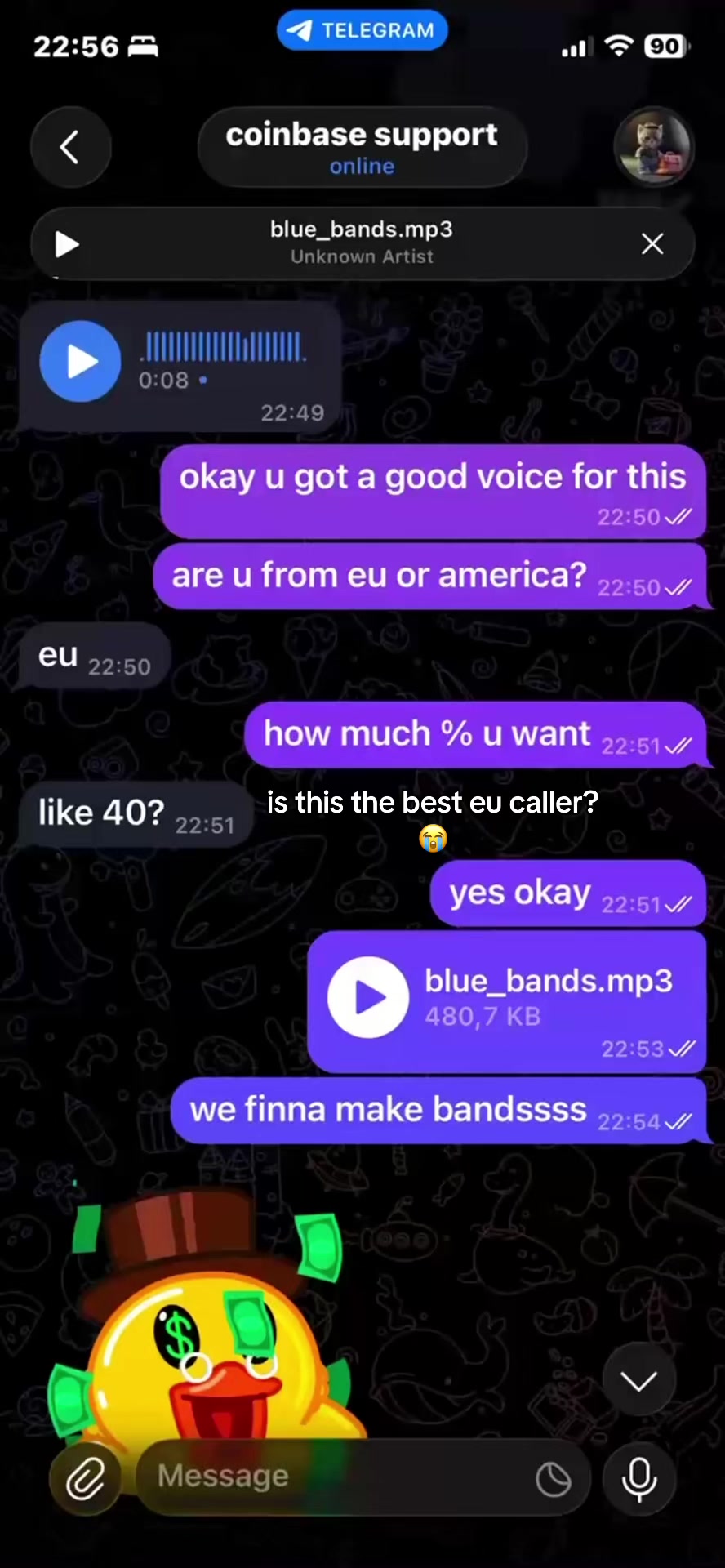 @quisy