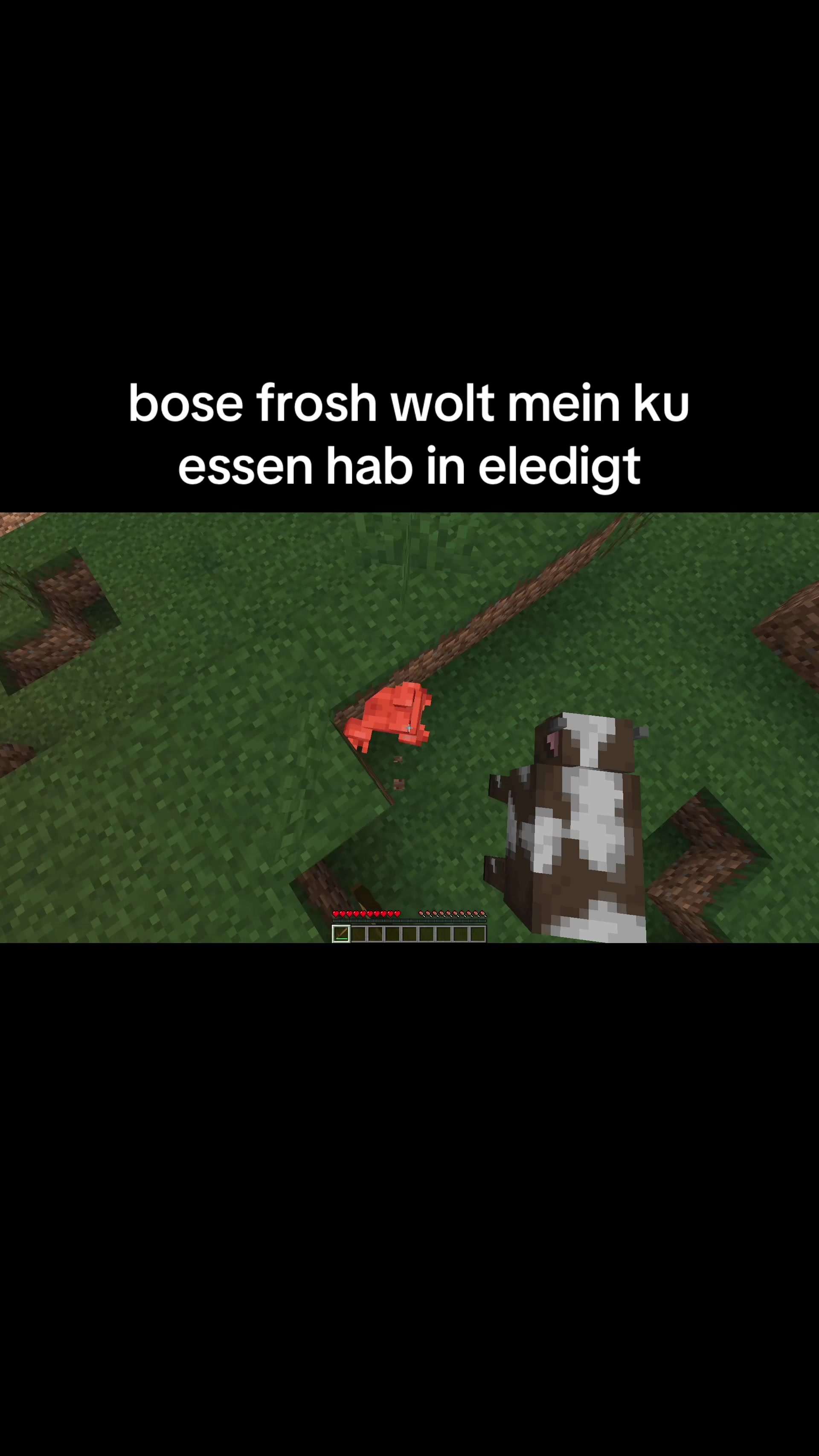 @minecraftalexcool33