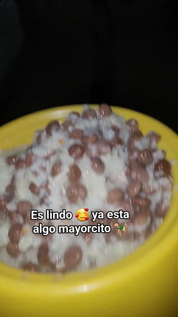 @𝕃𝕚𝕤𝕤 ℝ𝕖yes🇸🇻