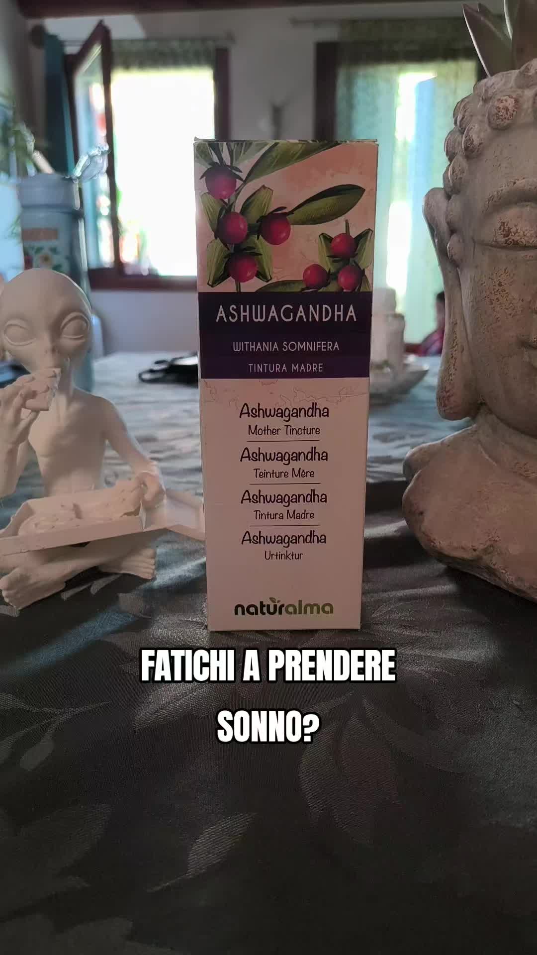 @Mamel e gli Eternauti
