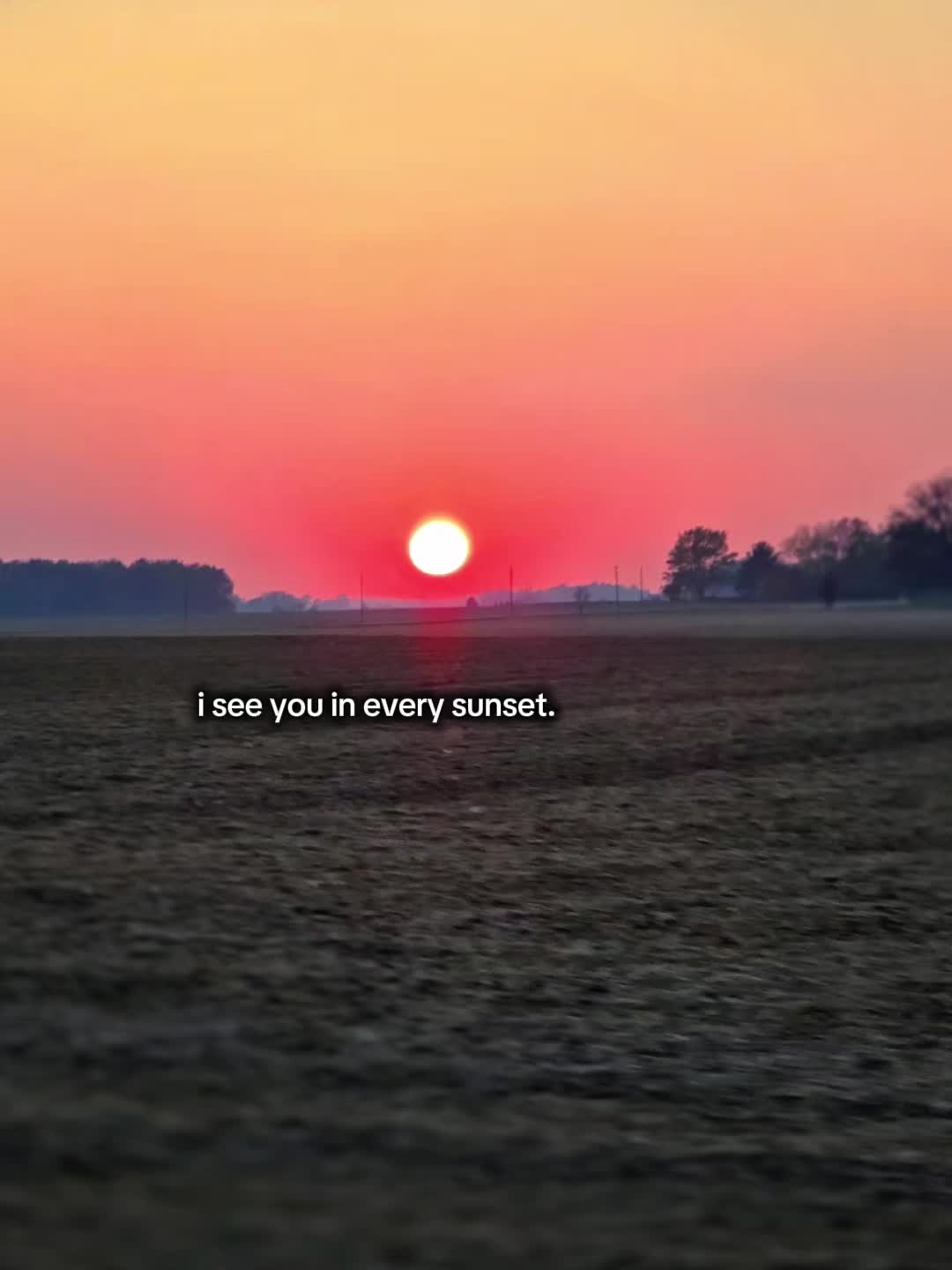 @Hannah Risch