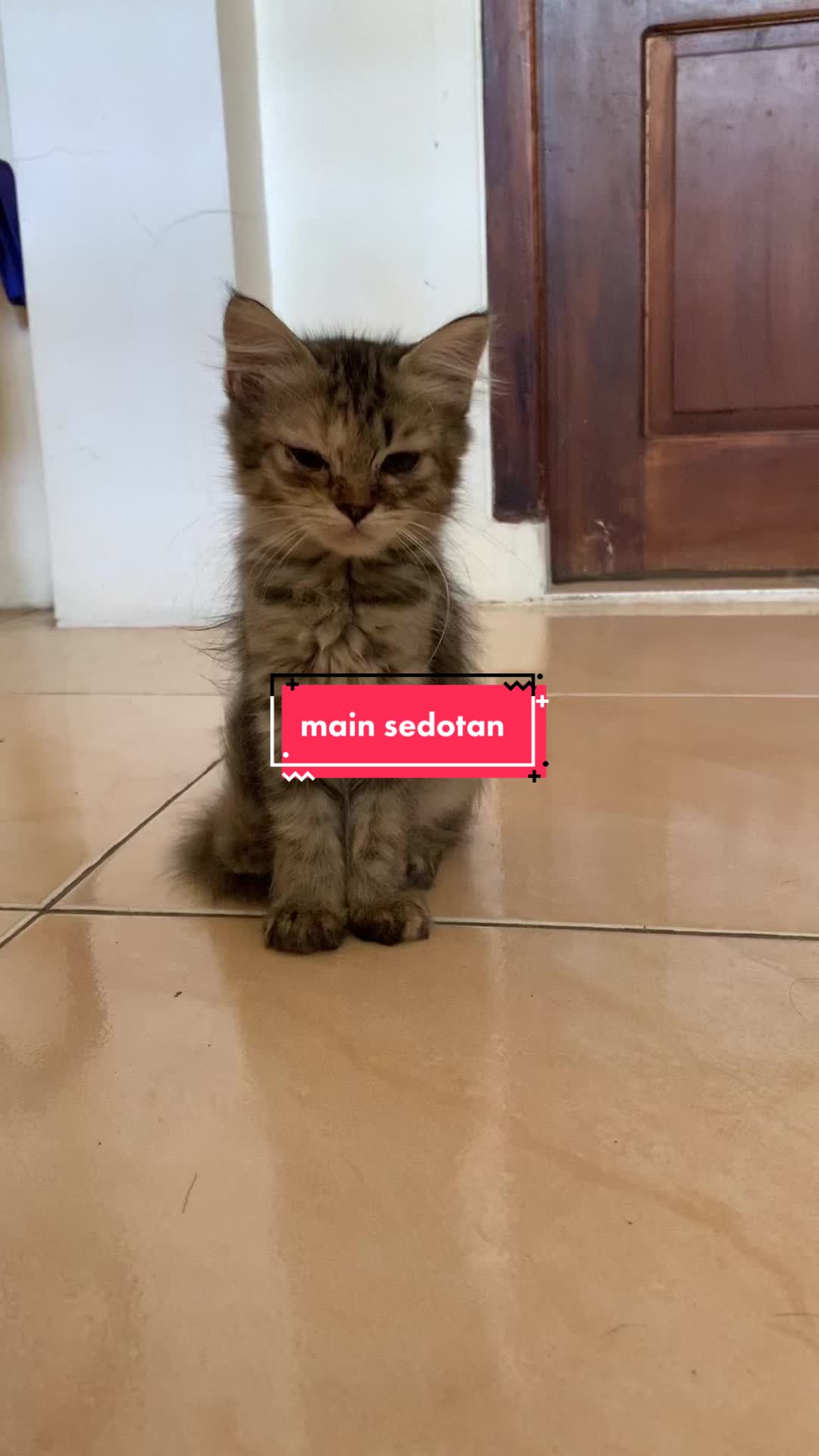 @unothemaincoon