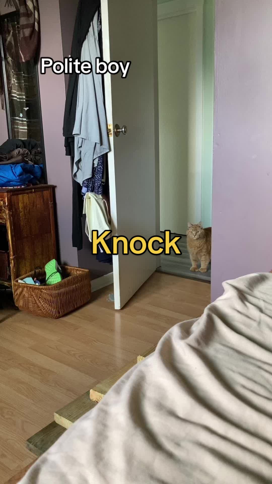 @Reznor_the_cat🪽