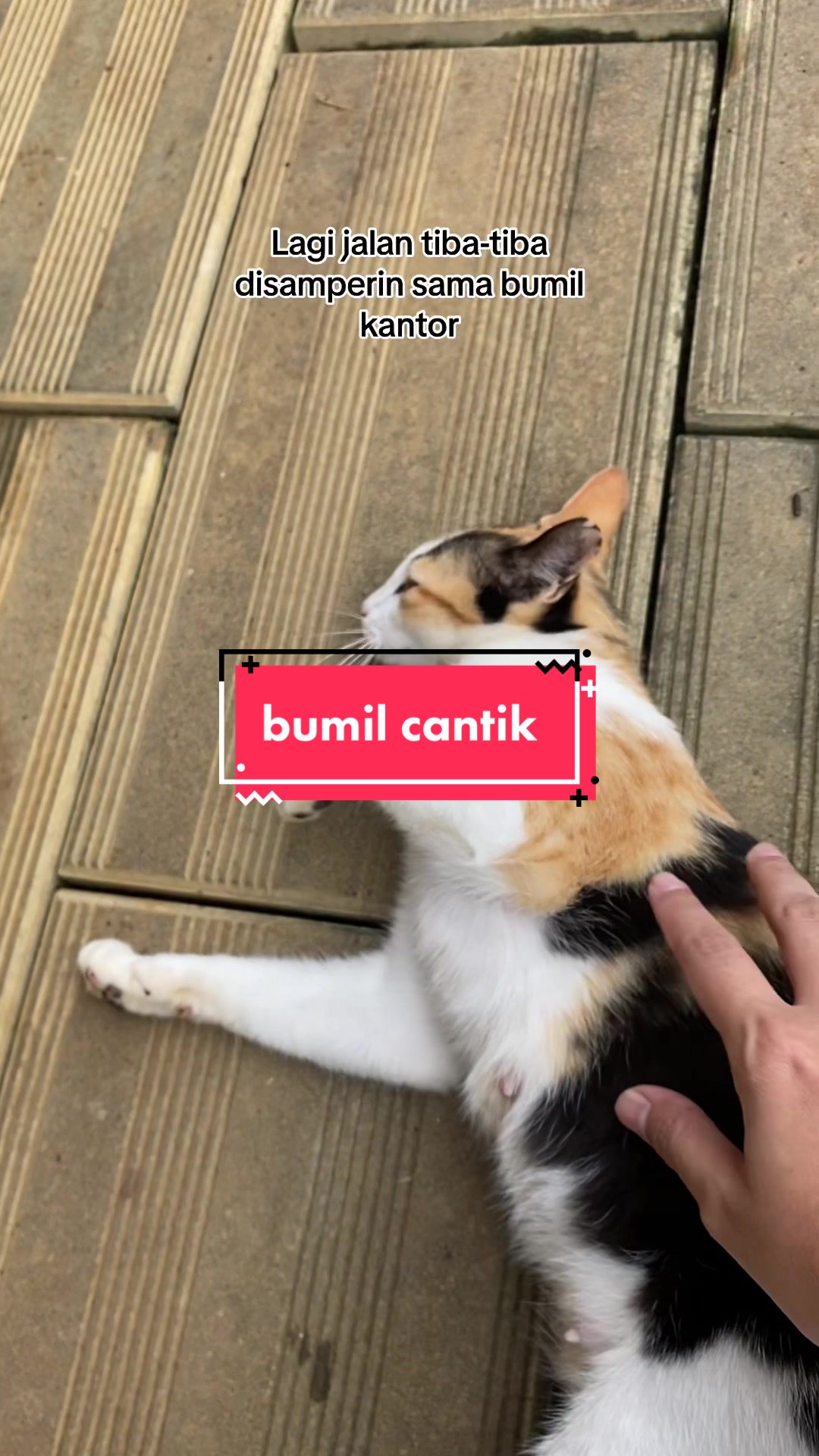 @unothemaincoon