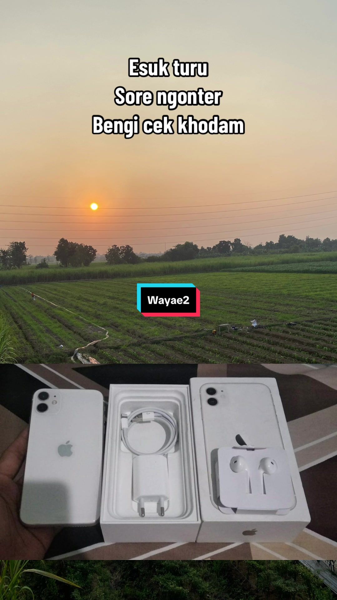 @Teratephone 📱