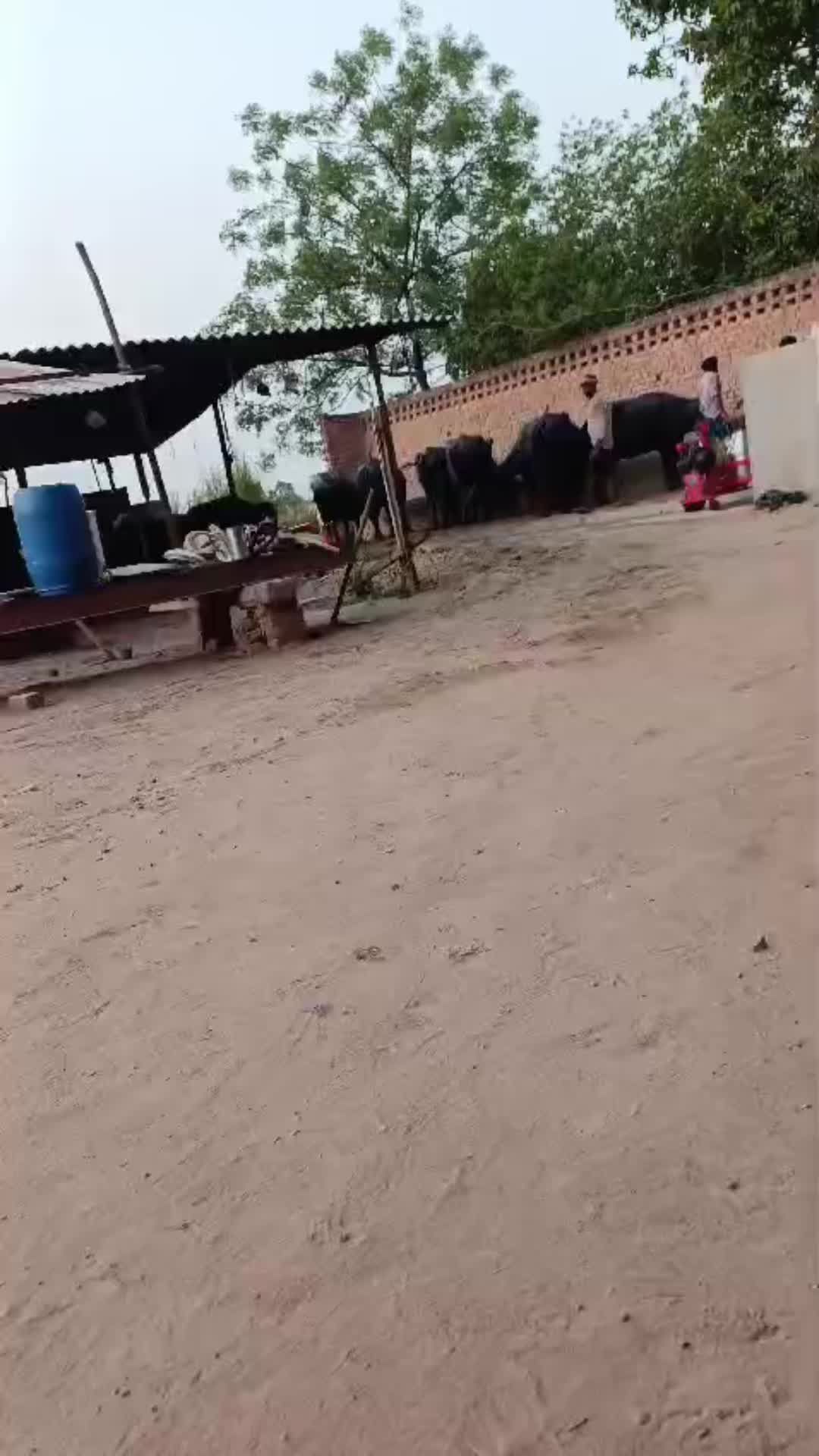 @Kulvinder